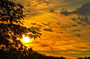 kartynky-dobryi-ranok-iak-vony-zadaiut-ton-usomu-dniu-bcab