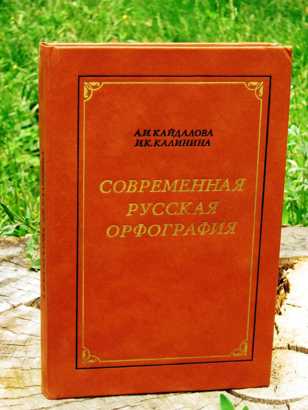shcho-take-orfohrafiia-99b2