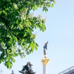 Каштани: символ Києва, поживний продукт і дерево для вашого саду
