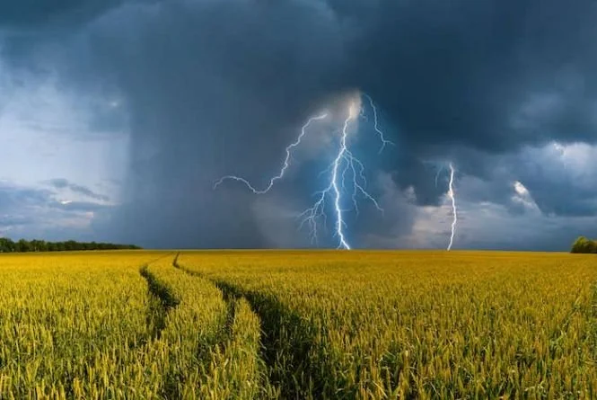 Гроза з блискавками над полем під час літніх дощів в Україні