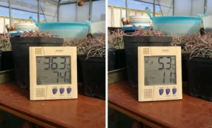 temperatura-vyroshchuvannia-kaktusa-povnyi-hid-c420