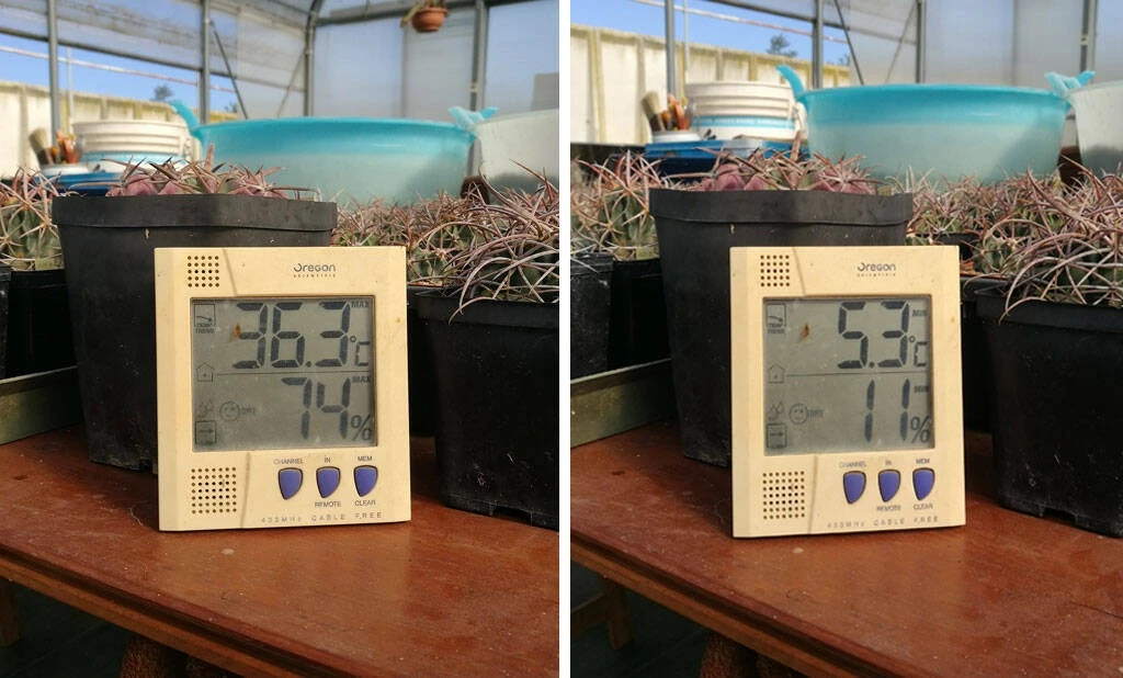 temperatura-vyroshchuvannia-kaktusa-povnyi-hid-c420