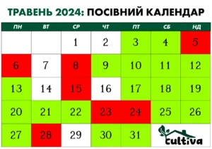 koly-sadyty-ohirky-v-travni-terminy-po-rehionakh-3bf2